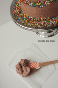 Nutella Cloud Frosting Recipe | Crumbs and Chaos