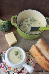 Broccoli Cheese Soup | Crumbs and Chaos #soup #recipe