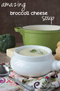 Broccoli Cheese Soup | Crumbs and Chaos #soup #recipe #broccoli www.crumbsandchaos.dreamhosters.com