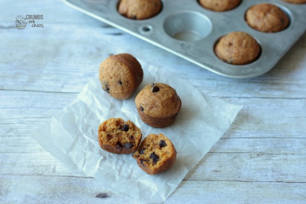 Mini Chocolate Chip Pumpkin Muffins | Crumbs and Chaos #pumpkin #snack #muffin www.crumbsandchaos.dreamhosters.com