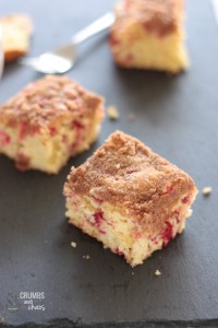Cranberry Streusel Coffee Cake | Crumbs and Chaos #coffeecake #breakfast #cranberries www.crumbsandchaos.dreamhosters.com