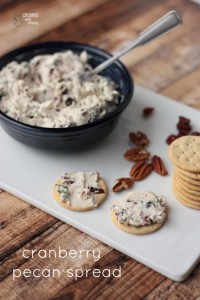 Cranberry Pecan Spread | Crumbs and Chaos #appetizer #Thanksgiving www.crumbsandchaos.ne