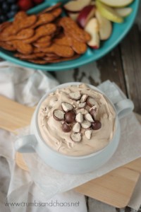 Hot Fudge Malt Dip | Crumbs and Chaos
