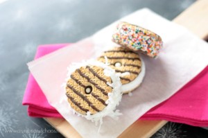 Mini Ice Cream Sandwiches | Crumbs and Chaos
