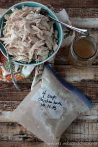 All Purpose Slow Cooker Shredded Chicken | Crumbs and Chaos