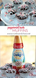 Peppermint Bark Muffins | Crumbs and Chaos