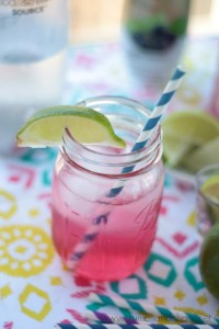 Cranberry Lime Spritzer | Crumbs and Chaos