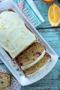 Iced Cranberry Orange Bread | Crumbs and Chaos