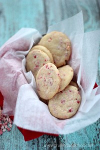 Peppermint Crunch Sugar Cookies | Crumbs and Chaos