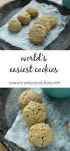 World's Easiest Cookies | Crumbs and Chaos