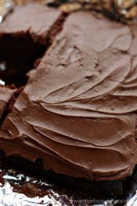 Chocolate Crazy Cake | Crumbs and Chaos