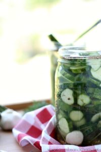 Easy Garlic Dill Refrigerator Pickles | Crumbs and Chaos