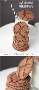 You'll love these Soft Chocolate Gingersnaps! Make them now and throw them in the freezer for whenever you need them!